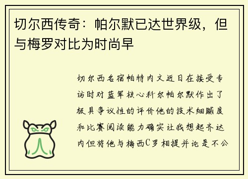 切尔西传奇：帕尔默已达世界级，但与梅罗对比为时尚早